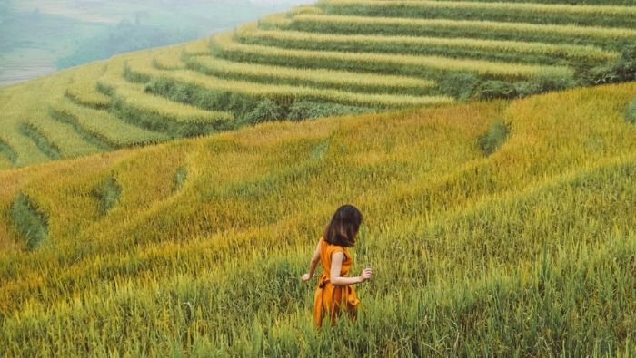 Giấc mơ này chứng tỏ sắp có những chuyện tốt lành đến với bạn