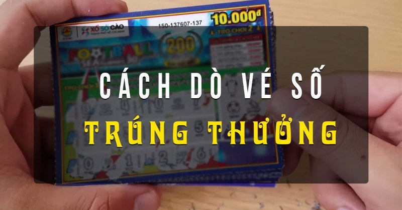 Bạn có thể xem bảng kết quả thông qua nhiều cách khác nhau